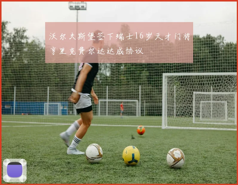 沃尔夫斯堡签下瑞士16岁天才门将亨里克费尔达达成协议