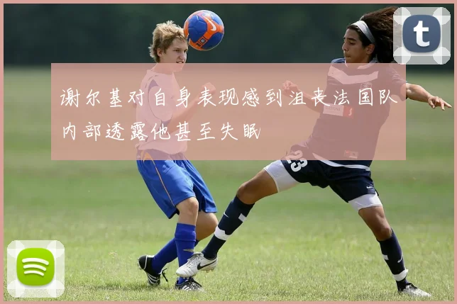 谢尔基对自身表现感到沮丧法国队内部透露他甚至失眠